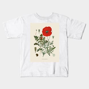 Field Poppy Antique Botanical Illustration Kids T-Shirt